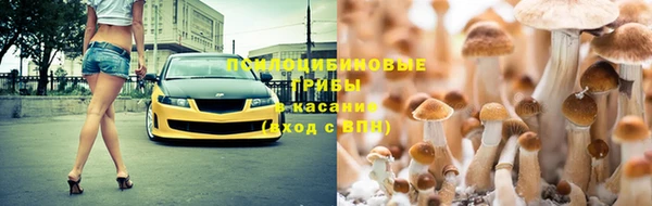 дмт Горнозаводск