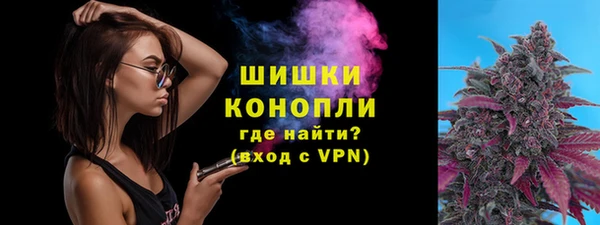 дмт Горнозаводск