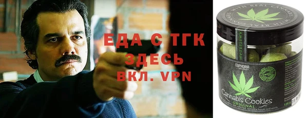 дмт Горнозаводск
