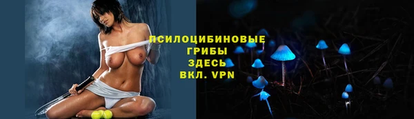 МДПВ Горно-Алтайск