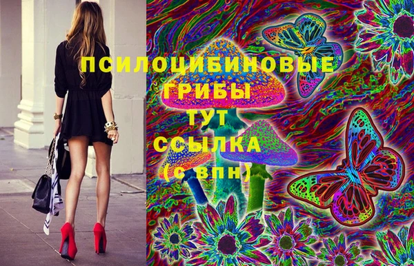 МДПВ Горно-Алтайск