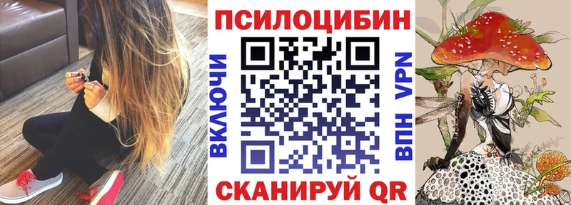 Галлюциногенные грибы Psilocybe  даркнет клад  Дубовка 